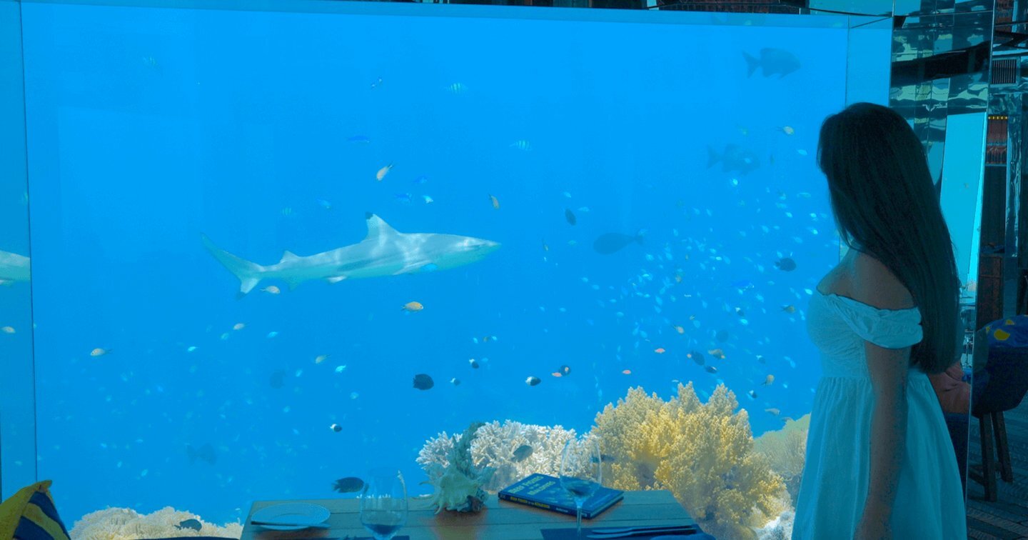 best-underwater-restaurants-in-the-maldives.