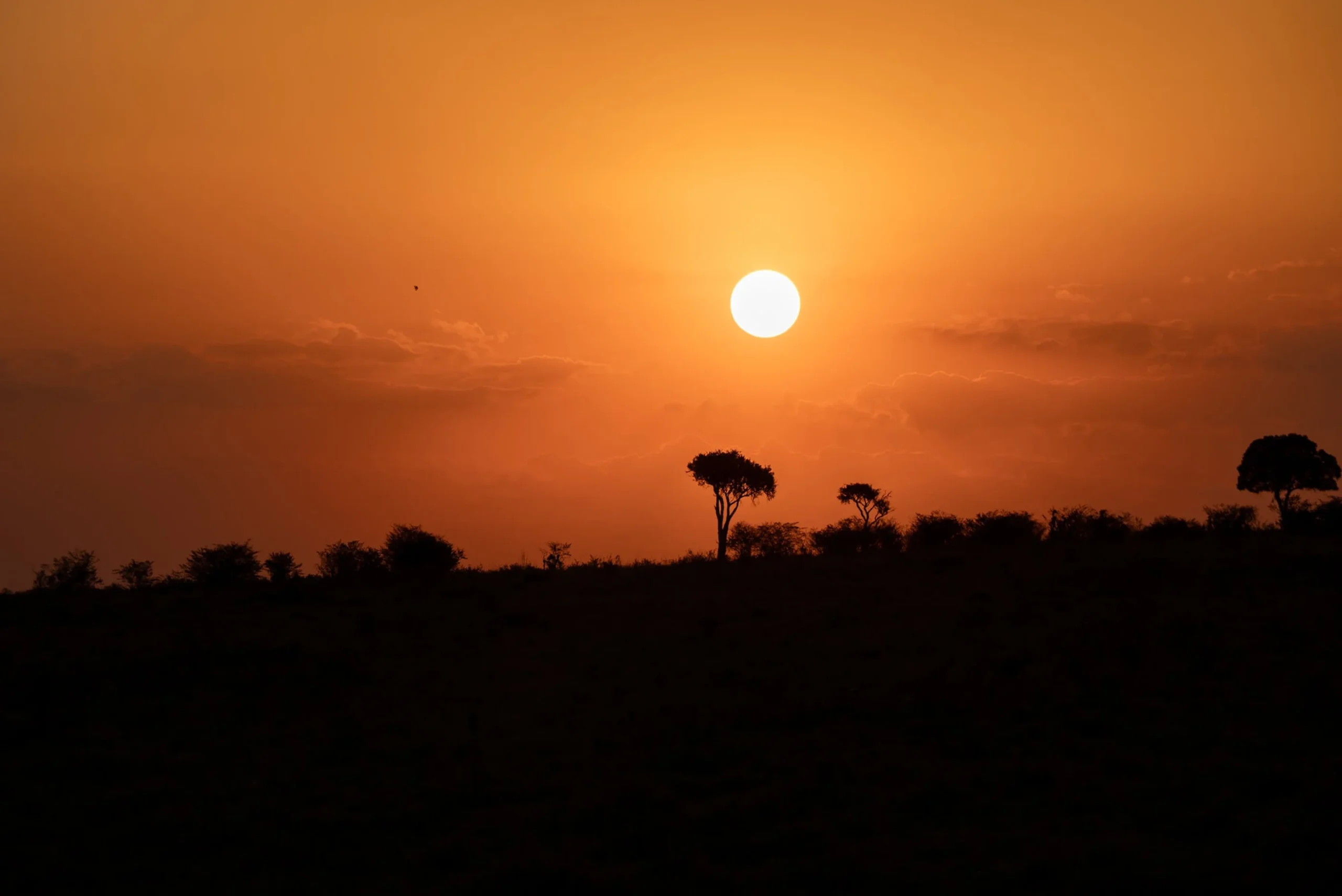 salas-camp-kenya-sunset